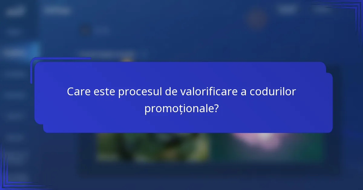 Care este procesul de valorificare a codurilor promoționale?